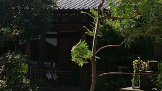 自然な雰囲気が良いお寺