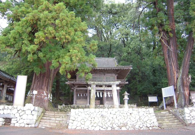 武田八幡宮 クチコミ アクセス 営業時間 韮崎 フォートラベル 武田八幡宮 クチコミ アクセス 営業時間 韮崎 フォートラベル