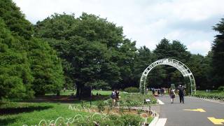 とにかく広い、まさにオアシス！