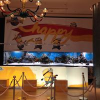 受付の後ろは、水槽になってます。魚が泳いでる〜。