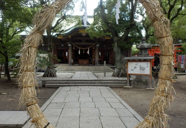 茅の輪くぐり 高津宮 クチコミ アクセス 営業時間 ミナミ 難波 天王寺 フォートラベル 茅の輪くぐり 高津宮 クチコミ アクセス 営業時間 ミナミ 難波 天王寺 フォートラベル