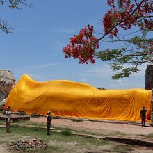 寝釈迦仏　その１