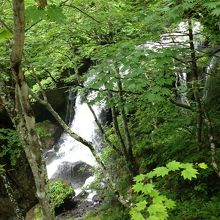 滝の横には遊歩道が整備されている
