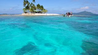 ダニがいるとは...