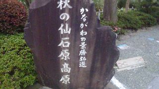 秋にはススキと紅葉