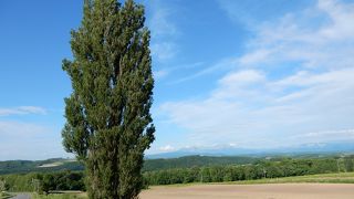 パッチワークの路への案内に従えば到着します。