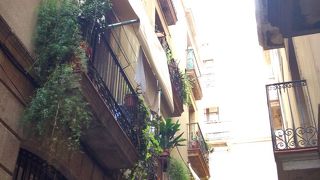 歩いているだけで楽しい。迷子に注意！