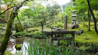 このために夏の京都へ来ました