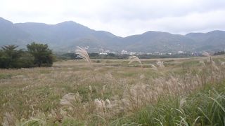 初夏から夏にかけてが