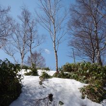 あちこちに残雪が...