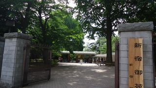 都会のオアシス