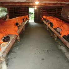 ドッキリします