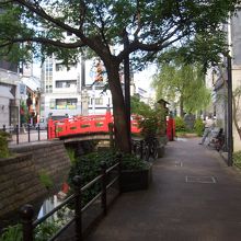 この道を妻と一緒に歩きました