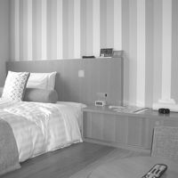 デジカメがダメみたいでモノクロですが