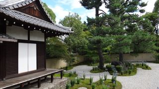 桔梗の季節がよい