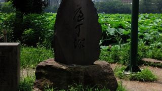 包丁というより昔のストーンナイフみたい。