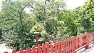 歌川広重が描いた松の再現