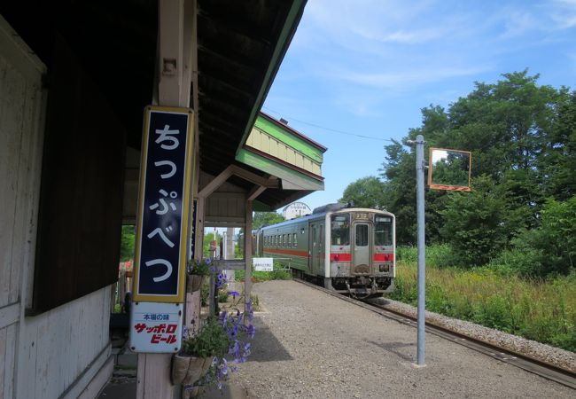 中心駅なのにタクシーも無い！