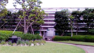 緑も多くてくつろげます