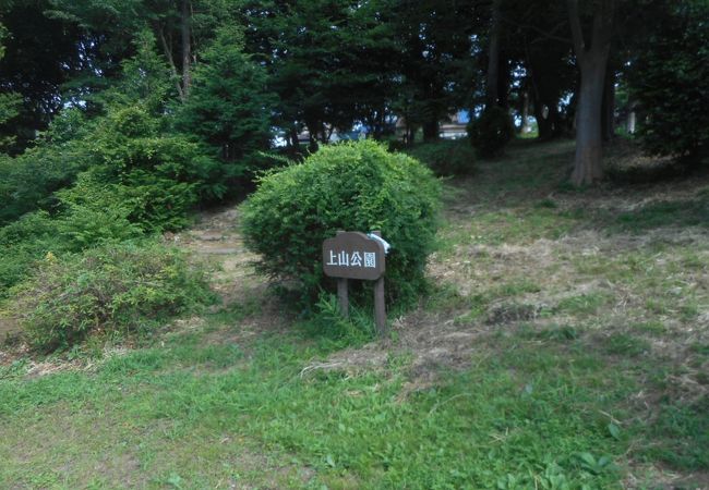 中山競馬場のすぐそばの公園