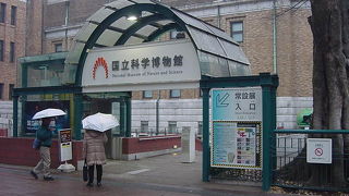 夜は天体観測もできます