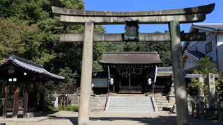 荏胡麻（えごま）油発祥地