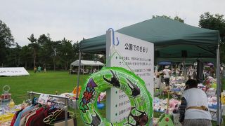 びばい歌舞裸祭りが開かれていました