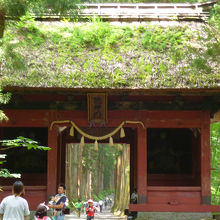 随神門の奥に杉並木が続いています