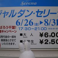 値段と期間です。