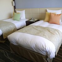 見栄えは良いが、古い設備のエアコンで寝苦しいベッドでした