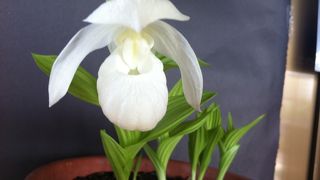 スタッフさんがとても親切