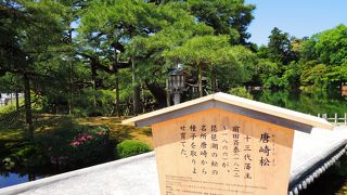 フラットな土橋