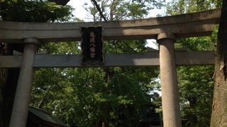 鎌倉の「鶴岡」、逗子の「亀岡」・・・という説もあるそうです。