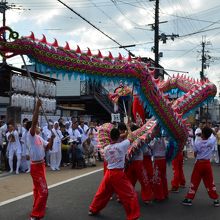 中国太古の龍舞
