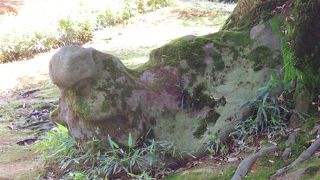 虎に見えなくて自分が情けない