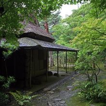 雨で光る石がすばらしい