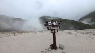 残念ながら雨でした。