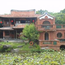 ちょうど睡連の咲いている時期でした！