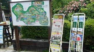 ROSE　WALKと題して、バラを楽しむ事のできる場所を提供してくれています。