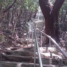 山頂への急な階段