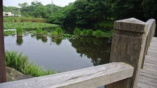 石垣は見ごたえがあります