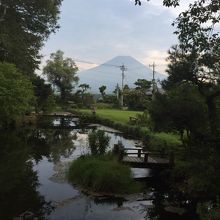 池越しの富士山