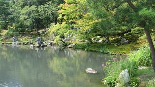 大堰川に金龍が舞う…