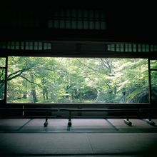 パンフレットの風景