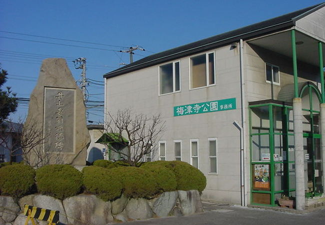 梅津寺公園 クチコミ アクセス 営業時間 松山 フォートラベル