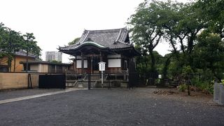 不忍池にある寛永寺の伽藍