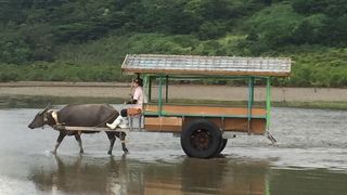 のんびり楽しむ