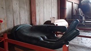大仏様の左手の大きさを目のあたりにする事ができます、とても大きくて目の前にすると圧倒されます。