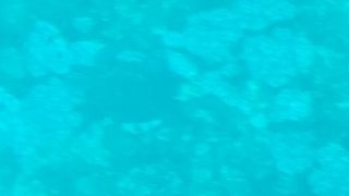 天気悪くても楽しめました