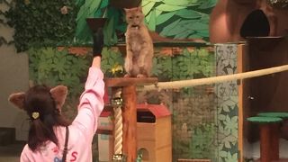 夏は水着持参がおすすめ